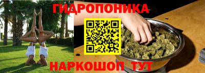 СК Вязьма